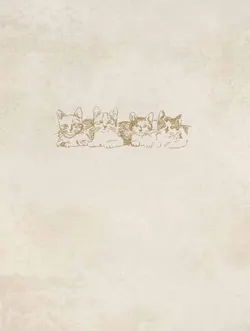 Пушистые и веселые истории о котах и кошках 17