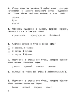 Русский язык: предварительный контроль, текущий контроль, итоговый контроль. 2 класс 5