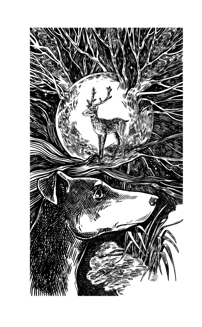 Хроники Стаи. Красная луна 47