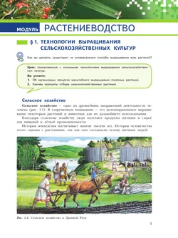 Труд (технология). Растениеводство и животноводство. 7-8 классы. Учебное пособие 29