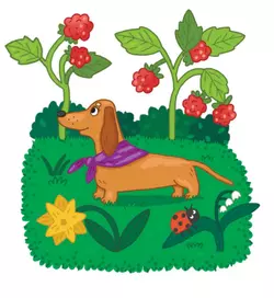 Мы теперь друзья! Книжка-картинка для первого чтения 8