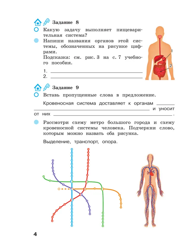 Окружающий мир. 3 класс Рабочая тетрадь в 2-х частях. Ч. 2 11