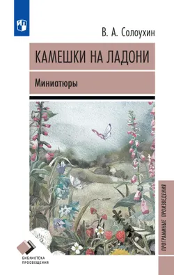 Камешки на ладони. Миниатюры 1