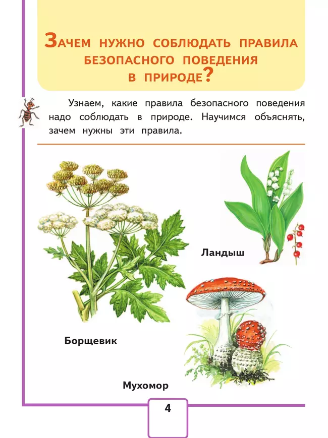 Окружающий мир. 1 класс. Учебное пособие. В 4 ч. Часть 4 (для слабовидящих обучающихся) 3