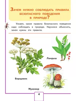 Окружающий мир. 1 класс. Учебное пособие. В 4 ч. Часть 4 (для слабовидящих обучающихся) 3