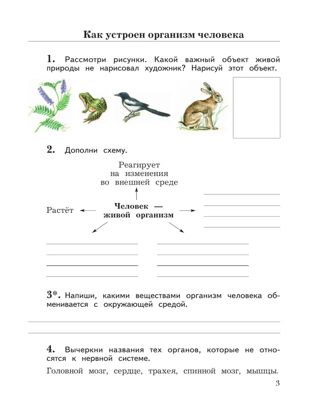 Окружающий мир. 4 класс. Рабочая тетрадь. В 2 частях. Часть 1 3 Окружающий мир. 4 класс. Рабочая тетрадь. В 2 частях. Часть 1 3