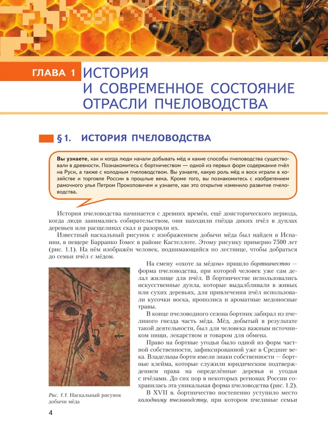 Современные технологии пчеловодства. 7-9 классы 37