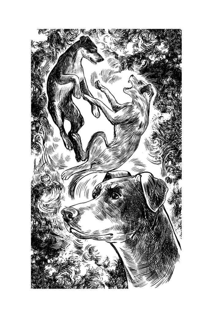 Хроники Стаи. Последняя битва 2