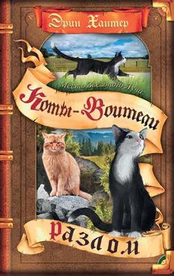 Специальное издание. Месть Звездного Луча. Том1. Разлом. 1