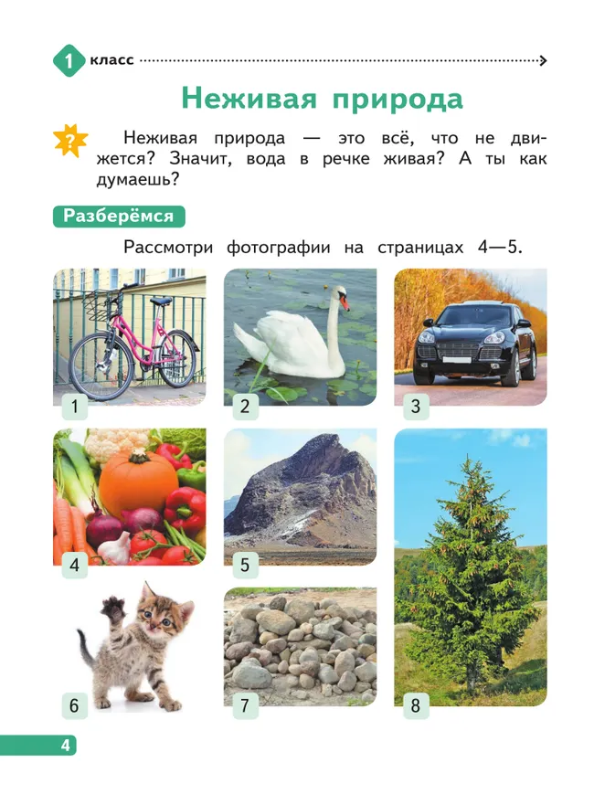 Природа России. 1-2 классы 9