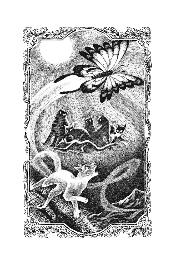 Коты-воители. Цикл "Cны и видения Бабочки". Беглянка. 26 Коты-воители. Цикл "Cны и видения Бабочки". Беглянка. 26