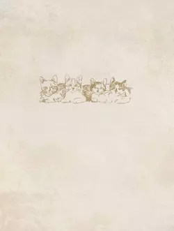 Пушистые и веселые истории о котах и кошках 49