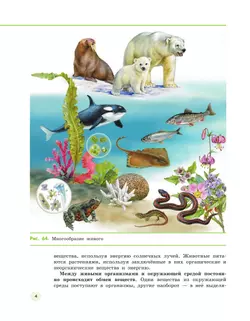 Естествознание 5 класс. Учебник. 2 часть 41