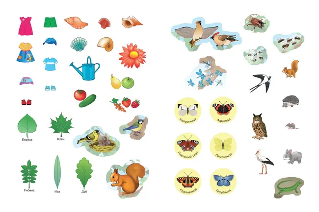 Вспоминаем лето! Учимся видеть и понимать (с наклейками) 6