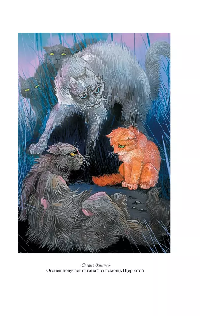 Коты-воители. Золотая коллекция. Стань диким! Огонь и лед. (новое оформление). Хантер. 22