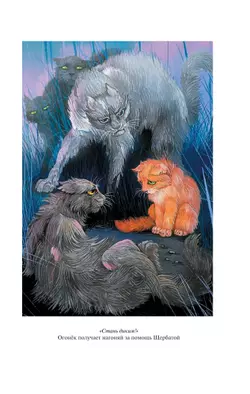 Коты-воители. Золотая коллекция. Стань диким! Огонь и лед. (новое оформление). Хантер. 22