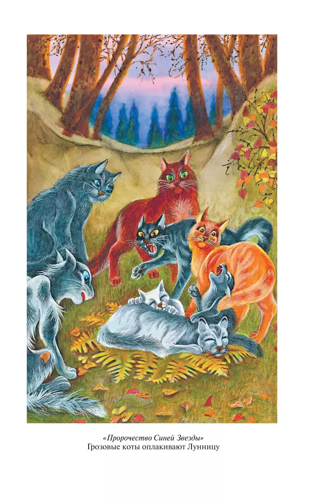 Коты-воители. Золотая коллекция. Пророчество Синей Звезды. Хантер. 2