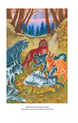 Коты-воители. Золотая коллекция. Пророчество Синей Звезды. Хантер. 2