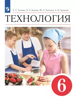 Технология. 6 класс. Электронная форма учебника 1