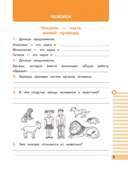 Окружающий мир. 3 класс. Рабочая тетрадь. В 2 частях. Часть 2 11