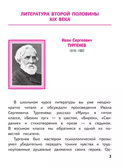 Литература. 8 класс. Учебное пособие. В 7 ч. Часть 4 (для слабовидящих обучающихся) 40