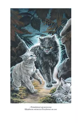 Коты воители. Золотая коллекция. Четвертый оруженосец. Долгое эхо 2