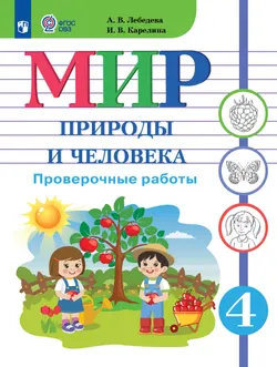 Мир природы и человека. 4 класс. Проверочные работы (для обучающихся с интеллектуальными нарушениями) 1