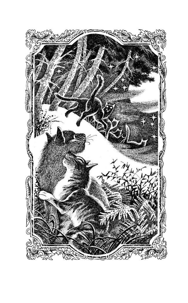 Цикл "Начало племен". Время выбора. 12 Цикл "Начало племен". Время выбора. 12