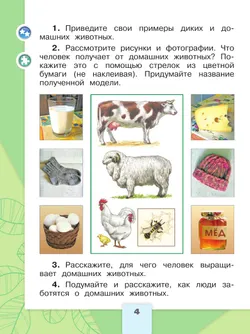 Окружающий мир. Первый год обучения. В трёх частях. Часть 2 28