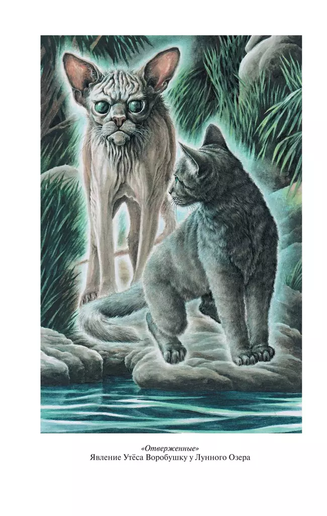Коты-воители. Золотая коллекция. Отверженные. Затмение. 7