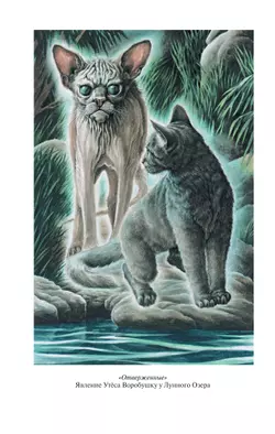 Коты-воители. Золотая коллекция. Отверженные. Затмение. 7