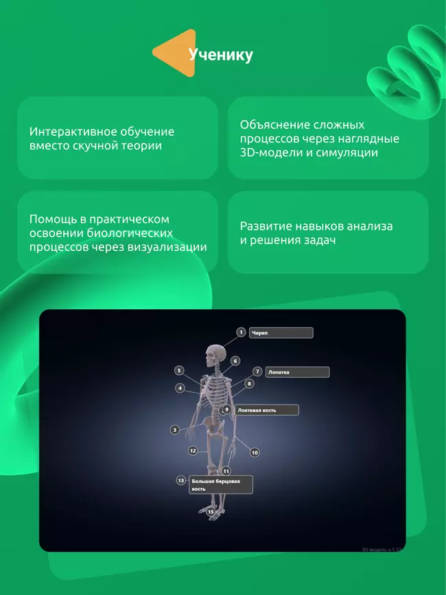 Человек и его здоровье. 9 класс (Мультибук, учитель, стартовый) 17 Человек и его здоровье. 9 класс (Мультибук, учитель, стартовый) 17