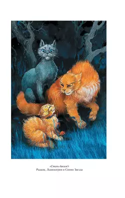 Коты-воители. Золотая коллекция. Стань диким! Огонь и лед. (новое оформление). Хантер. 21