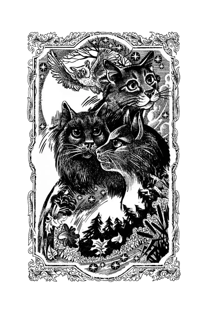 Коты воители. Нерассказанные истории. Долг Ярохвоста 45