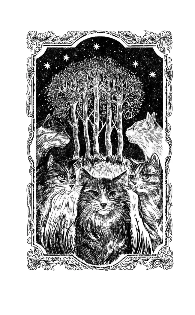 Неистовая буря (цикл "Видение теней") 13