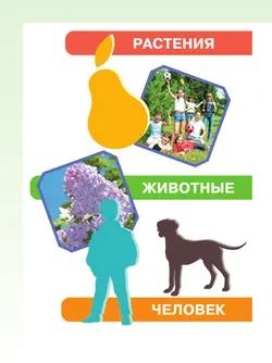 Мир природы и человека. 3 класс. Учебник. В 2 частях.Часть 2 (для обучающихся с интеллектуальными нарушениями) 15