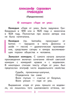 Литература. 9 класс. Учебное пособие. В 6 ч. Часть 3 (для слабовидящих обучающихся) 4