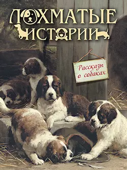 Лохматые истории. Рассказы о собаках 1