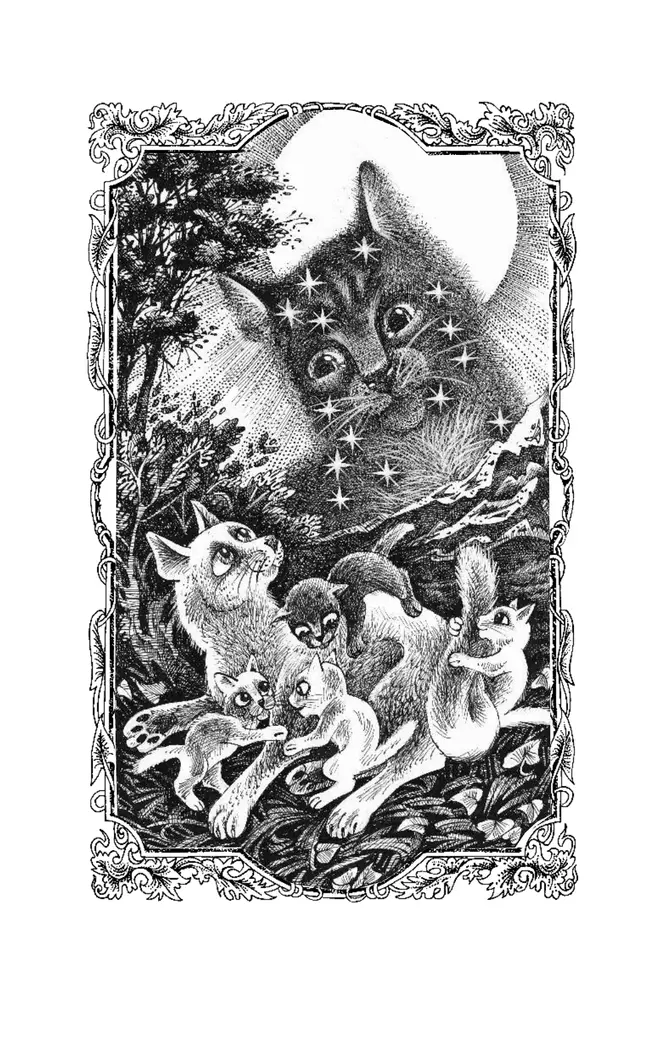 Коты-воители. Цикл "Cны и видения Бабочки". Целительница. 20 Коты-воители. Цикл "Cны и видения Бабочки". Целительница. 20