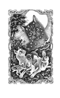 Коты-воители. Цикл "Cны и видения Бабочки". Целительница. 20