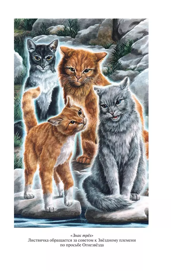 Коты-воители. Золотая коллекция. Знак трех. Темная река. Хантер. 14