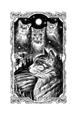 Тень Когтегрива. Возвращение 17