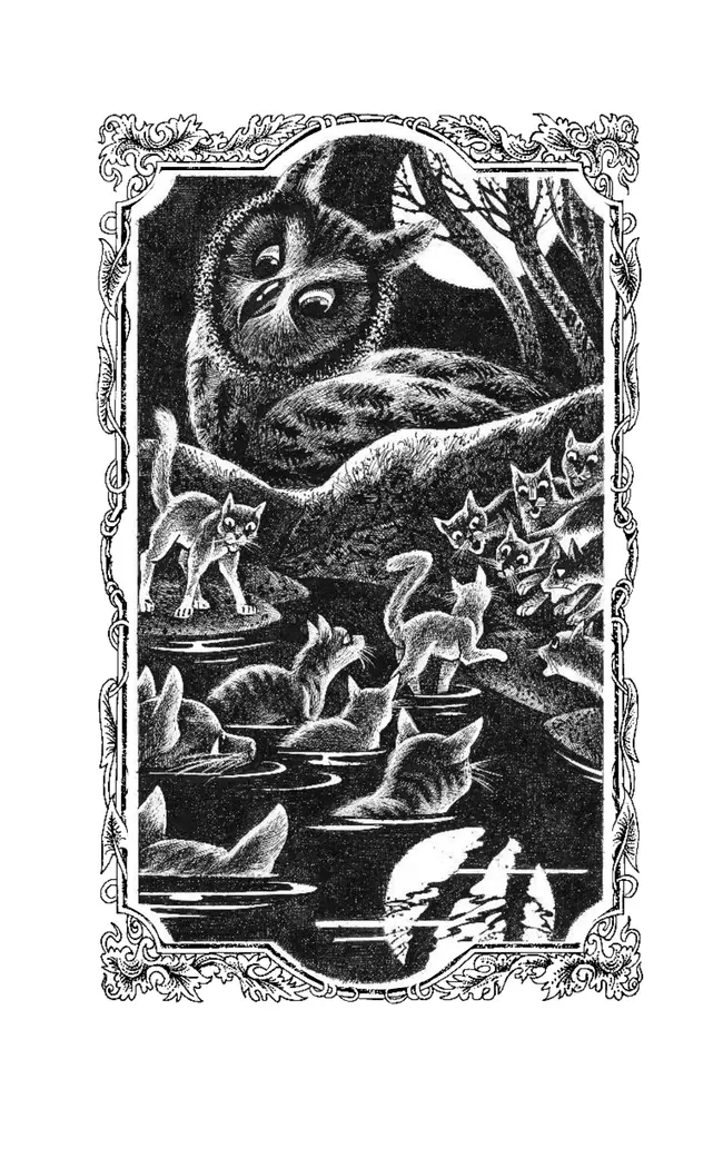 Коты-воители. Самая темная ночь Эрин Хантер 16