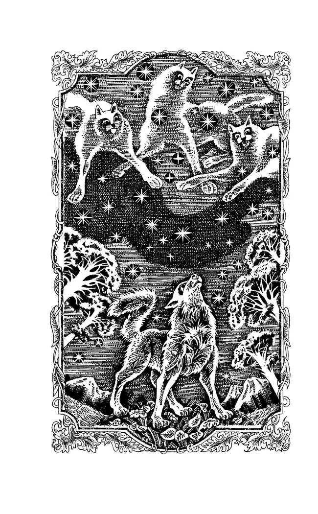 Коты-воители. Битва за лес Эрин Хантер 15