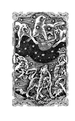 Коты-воители. Битва за лес Эрин Хантер 15