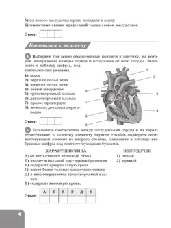Биология. 9 класс. Углублённый уровень. Рабочая тетрадь. В 2-х частях. Ч. 2 6