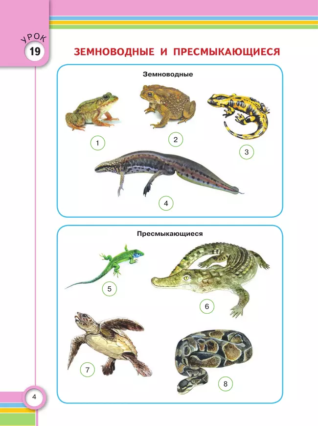 Окружающий мир. 4 класс. Учебник. В 2 частях. Часть 2. (для глухих и слабослышащих обучающихся) 5