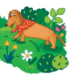 Неудачная охота 47