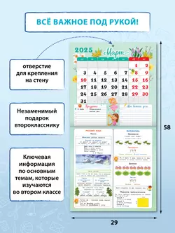 Календарь младшего школьника. 2 класс. 2024/2025 (с европодвесом) 4