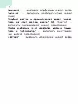 Русский язык. 5 класс. Учебное пособие. В 5 ч. Часть 2 (для слабовидящих обучающихся) 26